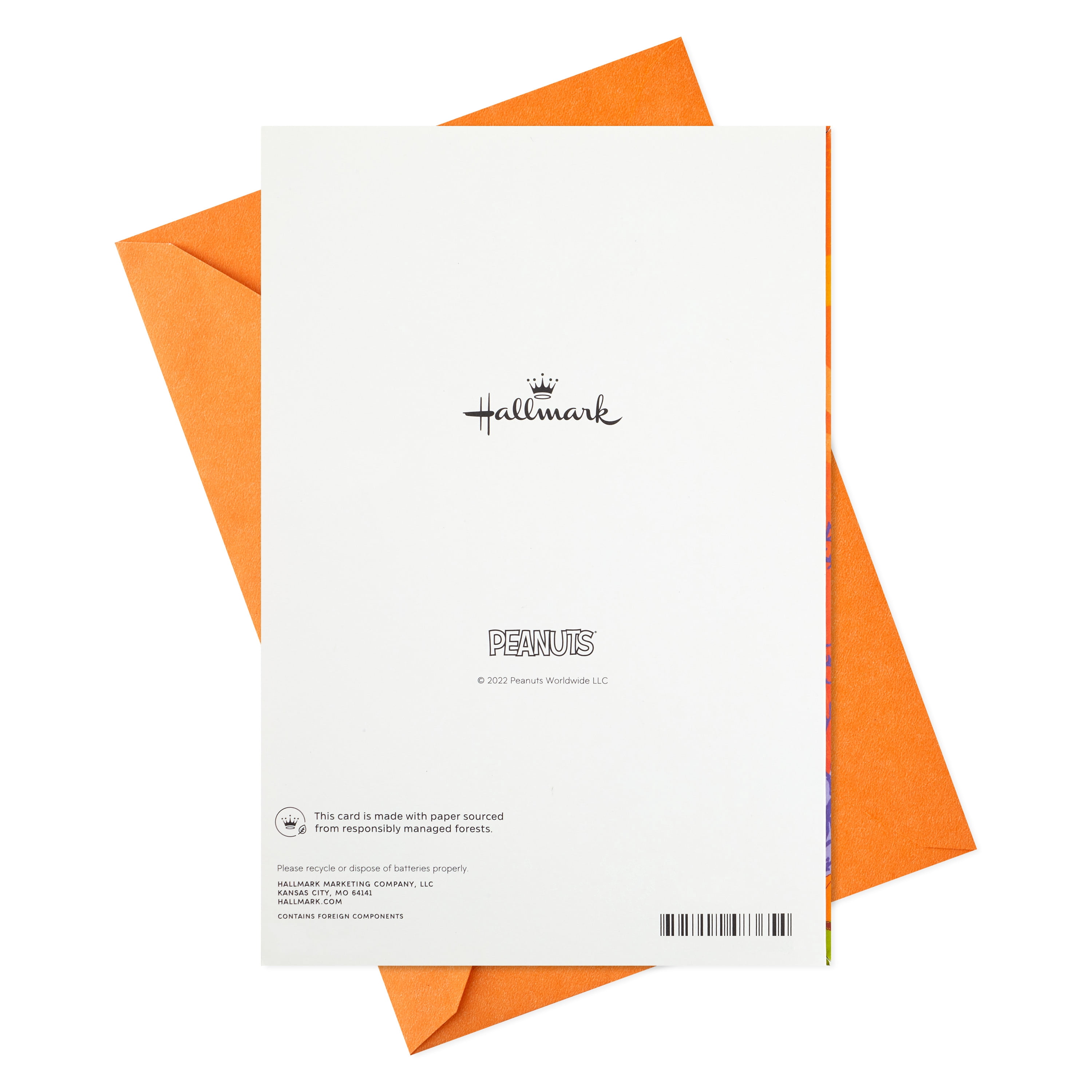 Hallmark Peanuts Musical Halloween Greeting Card with Light (Snoopy Abracadabra)