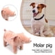 thumbnail image 4 of COG PUPPY DECOMPRESIÓN DE DECOMPRESIÓN Muñecas de perro Muñecas de juguete Niños Regalos Suministro de relieve de estrés Hugtrwg Para estrenar, 4 of 8
