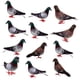 thumbnail image 1 of Decoración de boda Gloria 12 piezas plumas artificiales con espuma, 1 of 9