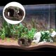 thumbnail image 4 of 2 Pezzi Ornamento in Resina per Acquario Decorazioni per Cave d'Acquario Resina per Acquario Ornamento per Barile Rotto Decorazione Paesaggistica per Pesci d'Acquario: Casa e cucina, 4 of 5