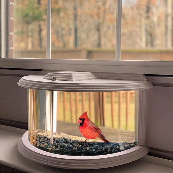 180° Clear View Window Bird Feeder for Bird Watching, Durable, Fits 27-35" Wide Windows, Easy Mount, Outdoor Backyard Wildlife Feeder