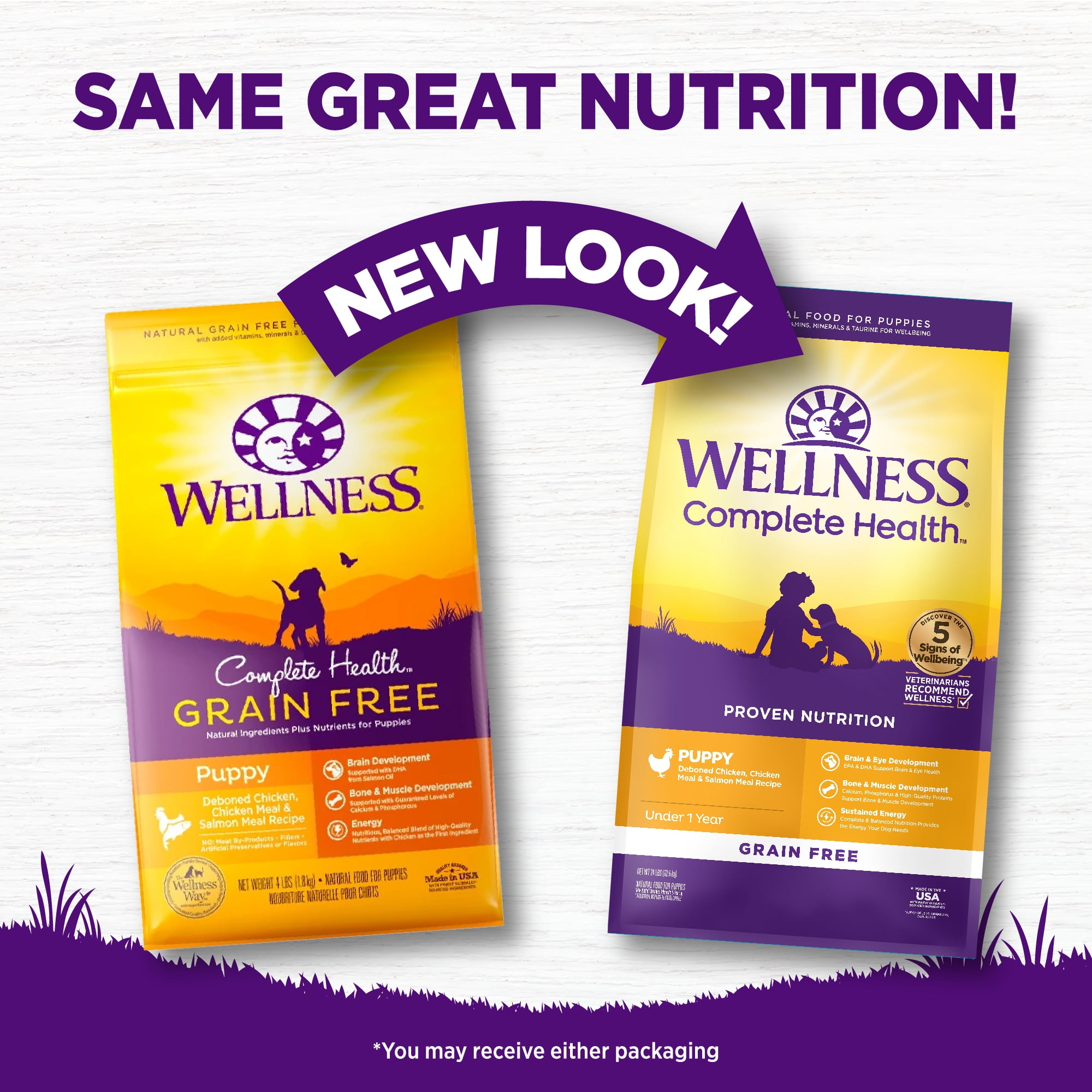 Wellness Complete Health Natural Grain Free Puppy Dry Dog Food, Chicken & Salmon, 24-Pound Bag
