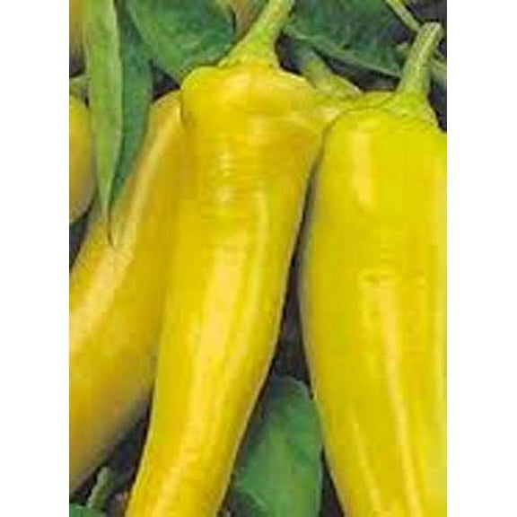 Pepper Sweet Banana Great Heirloom Vegetable Seeds by Seed Kingdom (1/4 Lb Seeds)