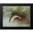 thumbnail image 2 of Kilbourne, Samuel 18x15 Black Modern Framed Museum Art Print Titled - Leaping Brook Trout, 2 of 5