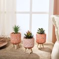 thumbnail image 6 of Teresa's Collections 6" Artificial Succulents Plants in Orange Ceramic Pot, Boho Home Decor Accents, Set of 3 Potted Plants, Assorted Faux Succulents Fake Plant for Table Centerpiece, Office Decor, 6 of 9