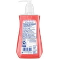 thumbnail image 3 of Dial Antibacterial Liquid Hand Soap Pomegranate And Tangerine 221,mL, 3 of 3
