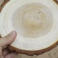 thumbnail image 2 of Royalbelle Natural Log Slice Piece Cup Mat Coaster Tea Coffee Mug Round Holder Creative Wood Hand Painted Photo Shooting Props, 2 of 8