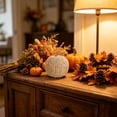 thumbnail image 6 of 1Pc Pumpkin Fall Decor, Woven Wicker Pumpkins for Home, Farmhouse Style, Autumn Thanksgiving Decorations, Fall Centerpieces for Table Porch Mantel Indoor - 6'', 6 of 6