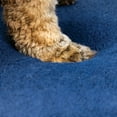 thumbnail image 5 of Harry Barker Premium Waterproof Orthopedic Pet Bed, 11 Inches Thick, Blue, Jumbo, 5 of 9
