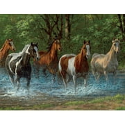 Springbok Summer Creek Horses - 500 Piece Jigsaw Puzzle for Adults - Unique Cut Pieces