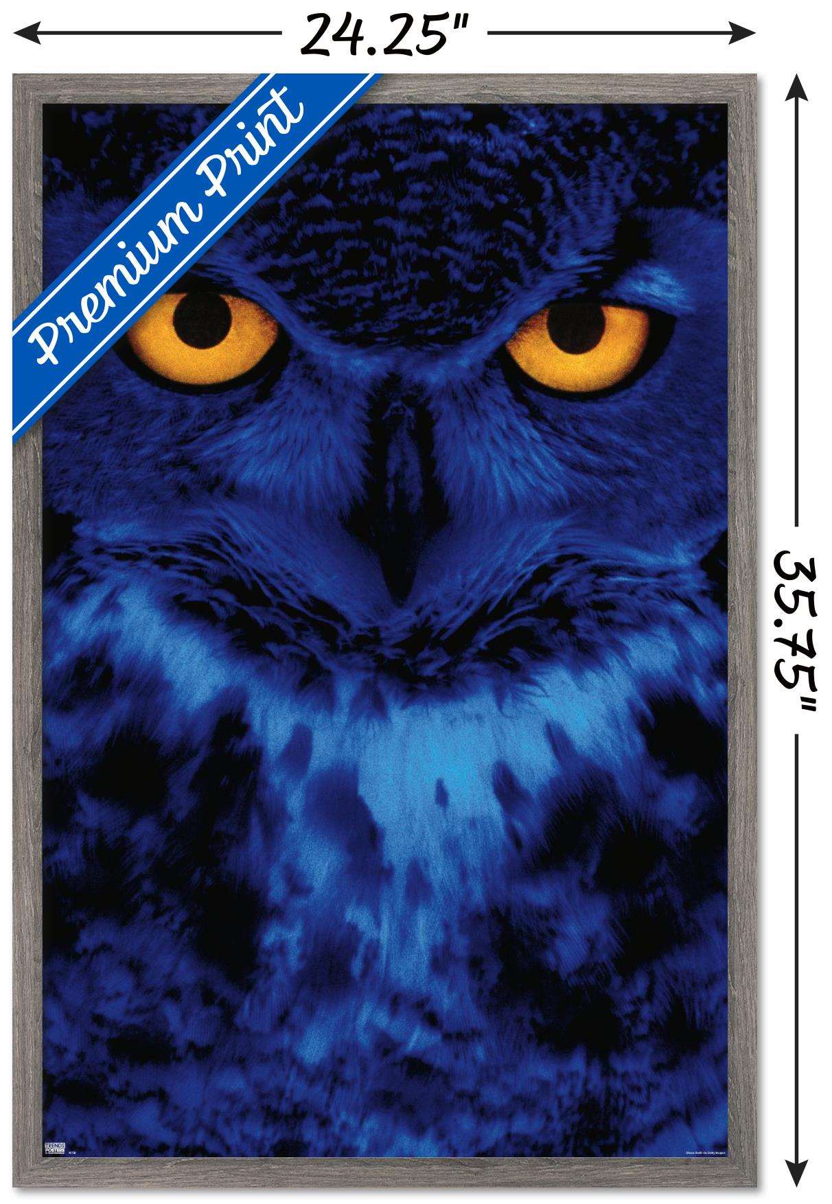 Owl - Eyes Wall Poster, 22.375" x 34", Framed