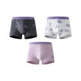 thumbnail image 2 of Cethrio Boys Boxer Briefs, 3 Pack Summer Breathable Comfortable Boys' Underwear White Size 12, 2 of 3