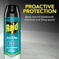 thumbnail image 5 of Raid Ant Killer 26, Insecticide Spray for Home, Pine Forest Fresh Scent, 17.5 oz, 5 of 15