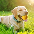 thumbnail image 3 of Durable EVA Interactive Pet Toy for Boredom Teeth Cleaning Chewing for Large and Medium Dogs, 3 of 5