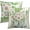 Daisy-1, variant on Spring Sage Green Leaf Pillow Covers 18x18 Set of 2, Eucalyptus Floral Watercolor Pillow Cases, Gray Seafoam Leaves Flowers Modern Throw Pillows Cover Decor Gifts for Bed Couch Sofa Living Room