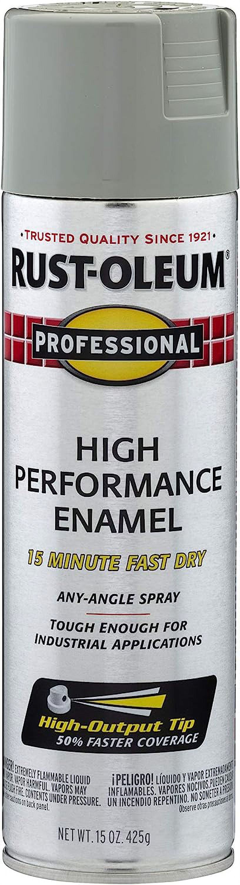 RustOleum 7519838 Professional High Performance Enamel Spray Paint, 14 Oz, Stainless Steel
