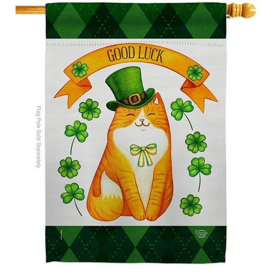 Ornament Collection H192303-BO Patty Kitty Springtime St Patrick Double-Sided Garden Decorative House Flag, Multi Color