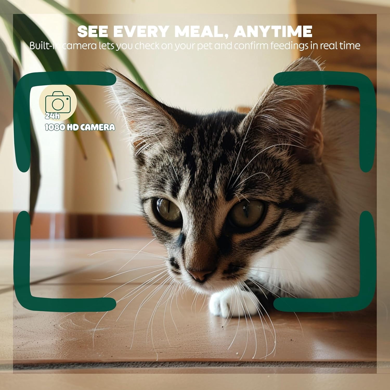 Automatic Cat Feeder with 1080P HD Camera – Timed Dry Food Dispenser for Cats and Dogs, App Control, 6L Capacity, Portion Control, Scheduled Meals, Two-Way Audio