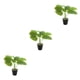 thumbnail image 4 of Planta de tortuga ecológica de bajo mantenimiento Inteprter decoración hogar oficina JH5475, 4 of 6