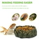 thumbnail image 3 of Tazón de reptiles alimentos plato de agua imitación de madera bandeja de mascotas bandeja de dragón barbudo tazón, 3 of 5
