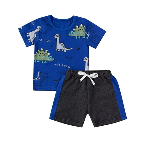 

Toddler Baby Boys Girls Short Sleeve Cartoon Dinosaur Tops+Shorts Sports Outfits Streetwear Outfits For 18-24 Months