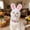 #260, variant on Cats Dress Bunny Rabbits Hat With Ears For Cats Small Dogs Ideal Easter Halloween Christmas Pet Dress Accessory