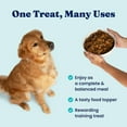 thumbnail image 6 of Solid Gold Air Dried Topper Meal Topper for Dogs, Beef 1 lb, 6 of 10