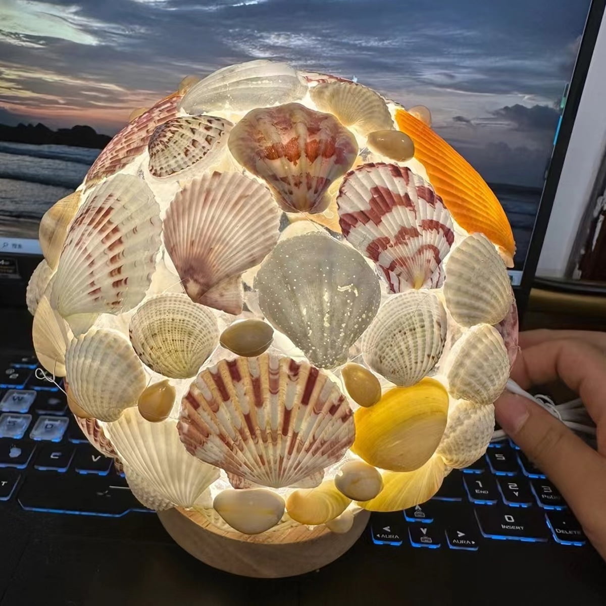 Handmade Sea Shell Night Light in Glass Dome with LED for Bedroom