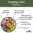 thumbnail image 4 of Burpee Cutting Mix Wildflower Flower Seed, 1-Pack, 4 of 5