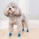 thumbnail image 5 of Calcetines antideslizantes para perros tejidos para uso en interiores - Control de tracción de piso de madera dura para mascotas pequeñas y medianas (azul, m) oso de fresa Electrónica, 5 of 6