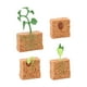 thumbnail image 2 of Ciclo de vida de la planta de judía verde, regalo Montessori, juguete de desarrollo, modelo de ciclo de vida de planta agrícola, figura para niños en, 2 of 10