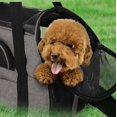thumbnail image 5 of Shopping Mall Bolso para Gatos, Bolso Mensajero Plegable, Lavable y Desmontable para Gatos, Gatitos, Perros y Aviones para Mascotas (43 * 23 * 29 CM) Gris oso de fresa Electrónica, 5 of 5