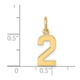 thumbnail image 4 of Auriga 14K Yellow Gold Casted Polished Number 2 Charm Pendant for Women (L-15.08mm, W-7.78mm), 4 of 6