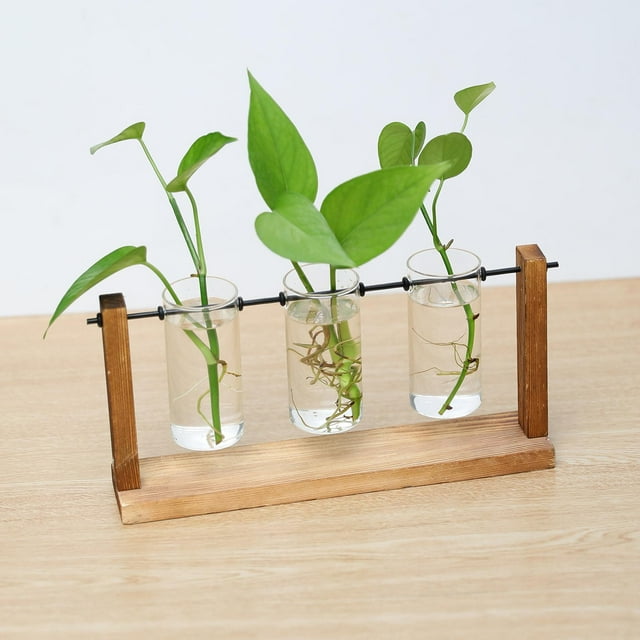 Florero de tubo de vidrio, con soporte de madera, contenedor, , terrario, propagación para boda, hogar, decoración de escritorio Colco florero claro