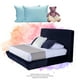 thumbnail image 1 of Recámara Matrimonial Drax Azul con Cabecera + Base Cama + 2 Almohadas Trinity + Osito + Libro, 1 of 8