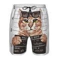thumbnail image 4 of KLL Cat Holding Mugshot Sign Men's Casual Summer Beach Shorts Hawaiian Shorts with Pockets-Large, 4 of 9
