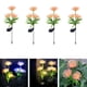 thumbnail image 1 of Luces solares para jardín, luces LED decorativas para exteriores con estaca, encendido y apagado automático, hasta 8 horas de brillo, energía solar, iluminación de caminos, para embellecer el césped,, 1 of 9