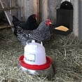 thumbnail image 4 of Alimentador De Para Pollos Y Aves De Corral, Dispositivo De Alimentación Colgante En Esquina, Comedero Automático Por Gravedad, Accesorios Para Gallinero Para Gallinas,, 4 of 7