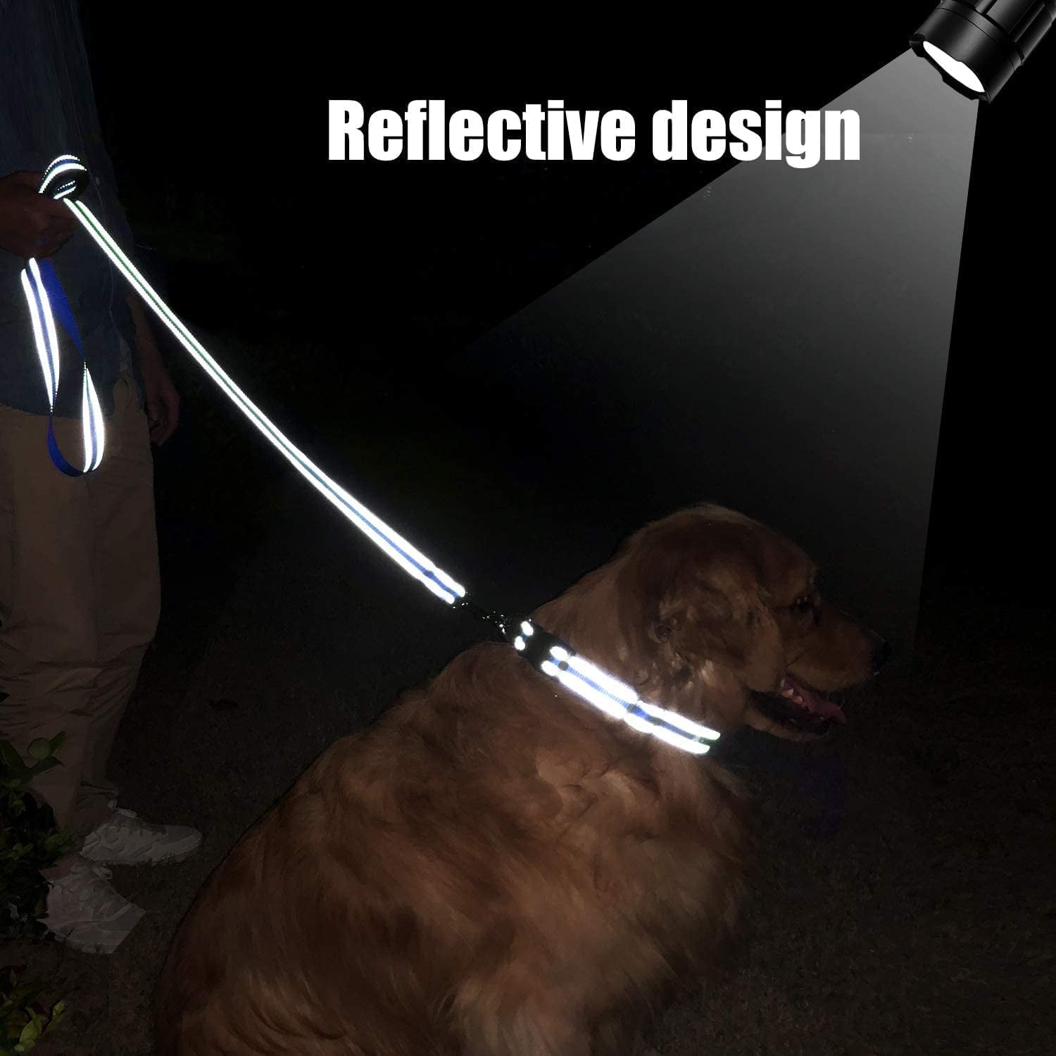 Siisll 6FT Reflective Dog Leash with Soft Padded Handle for Training Leashes,Walking Lead for Large & Medium Dog,1 inch Wide,Royal Blue