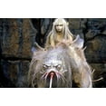 thumbnail image 3 of The Dark Crystal (DVD Sony Pictures), 3 of 5