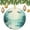 pattern-2273, variant on Christmas Ornaments Dragonfly with Water Lily Flowers Keepsake Gift Dragonfly Lotus Water-lily Ornament Gifts for Christmas 2024