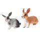 thumbnail image 1 of Simulación Animal Model de acción toy for kids Pack de 2, 1 of 9
