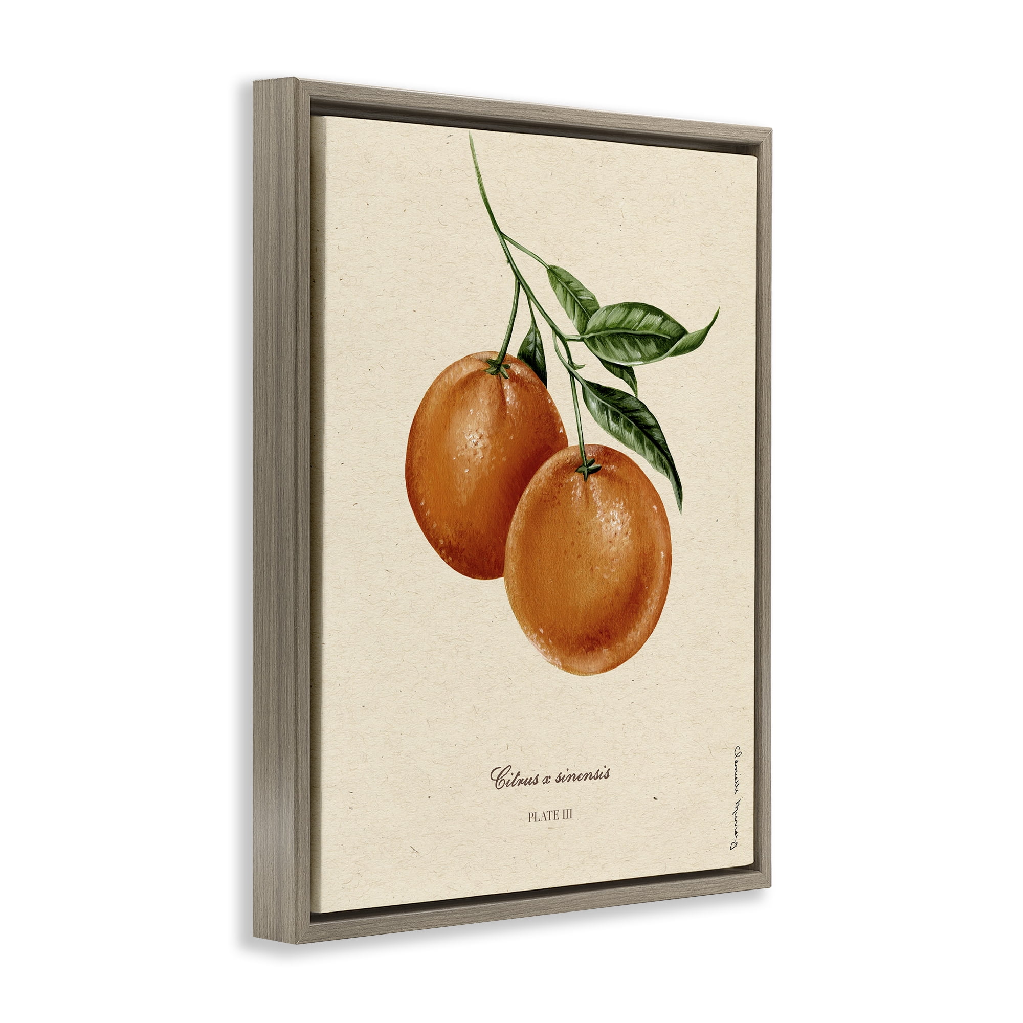 Stupell Industries Orange Fruit Portrait Brown Framed Floater Canvas Wall Art, design by Danielle Murray