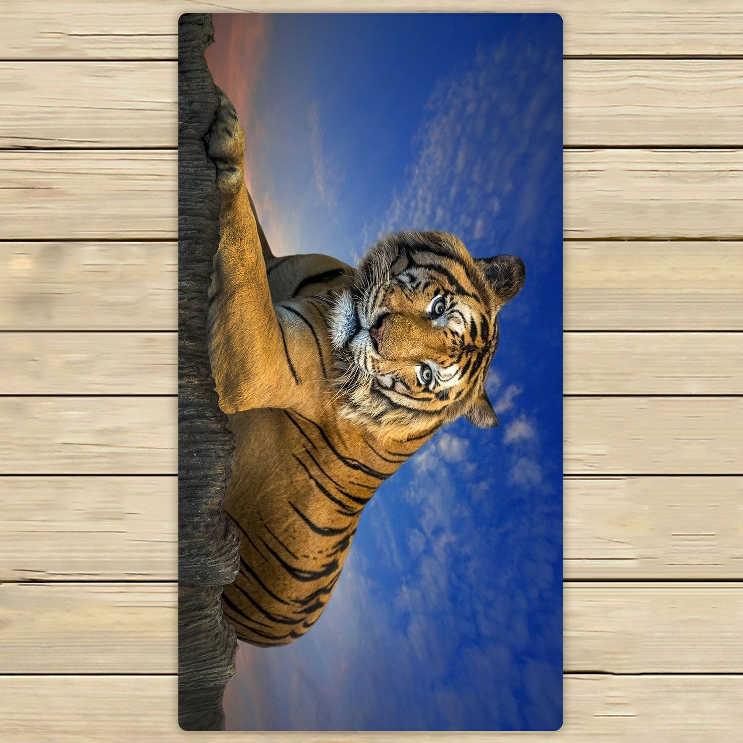 PHFZK Landscape with Beautiful Sky Towel, Animal Tiger Hand Towel Bath