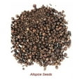 thumbnail image 3 of Allspice Essential Oil 15 ml (1/2 fl oz) - 100% Pure and Natural by Silky Scents, 3 of 6