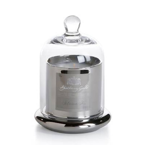 SIBERIAN FIR Zodax Apothecary Guild Silver Scented 3.5 oz Jar Candle with Dome