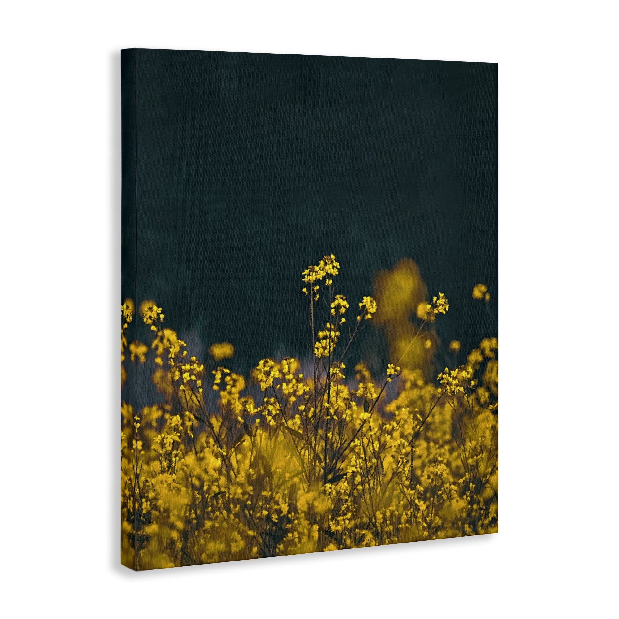 Stupell Industries Marigold Meadow Flowers Plants & Flowers Photography Wrapped Canvas Art Print Wall Art, 16 x 20