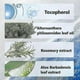 thumbnail image 4 of Sea Salt & Aloe Vera Cleansing Spray for Piercing Care - Safe for Ear, Nose, Septum, Belly Button, and Cartilage Cleaning Solution, 4 of 5