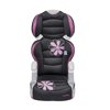 Evenflo Big Kid LX High Back Booster Car Seat, Carrissa