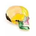 thumbnail image 3 of QQTDFG Colorful Enamel Map Skull Head Pendant Gold Tone Brooch Pin Party Jewelry Gift-default, 3 of 6